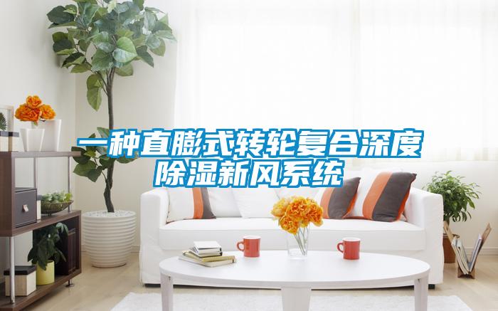 一種直膨式轉(zhuǎn)輪復(fù)合深度除濕新風系統(tǒng)