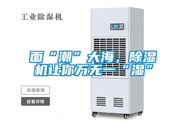 面“潮”大海，除濕機讓你萬無一“濕”