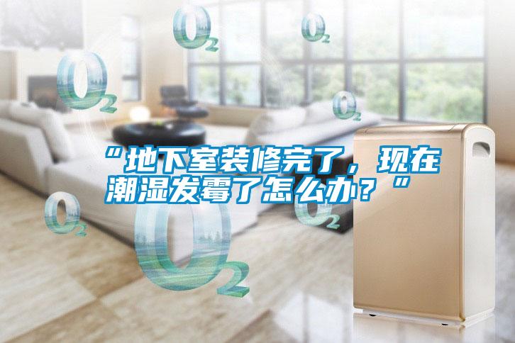“地下室裝修完了，現(xiàn)在潮濕發(fā)霉了怎么辦？”