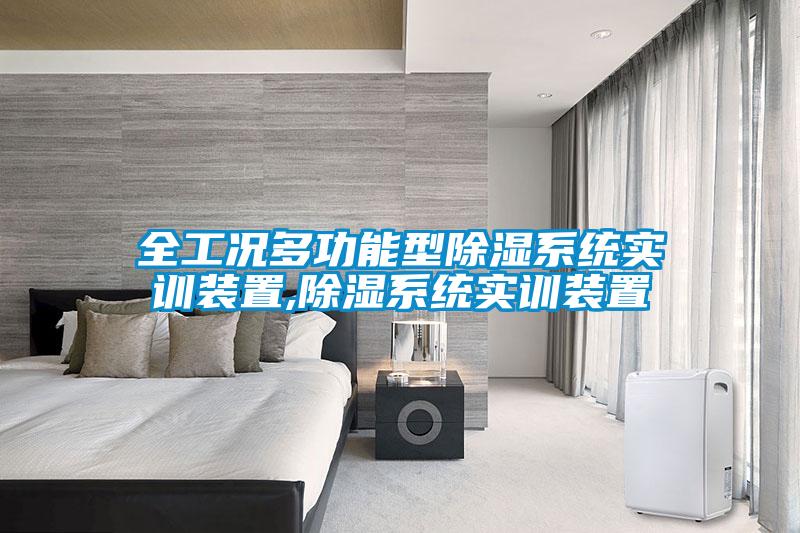 全工況多功能型除濕系統(tǒng)實訓(xùn)裝置,除濕系統(tǒng)實訓(xùn)裝置