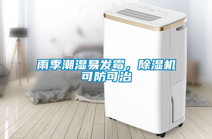 雨季潮濕易發(fā)霉，除濕機(jī)可防可治
