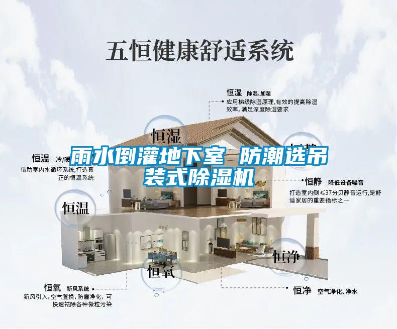 雨水倒灌地下室 防潮選吊裝式除濕機