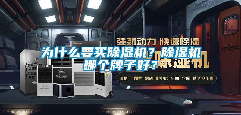 為什么要買除濕機(jī)？除濕機(jī)哪個(gè)牌子好？