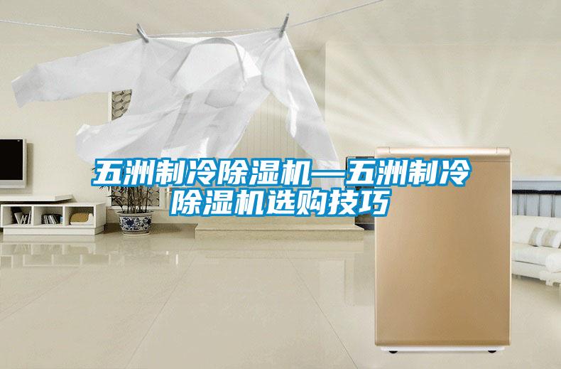 五洲制冷除濕機(jī)—五洲制冷除濕機(jī)選購技巧