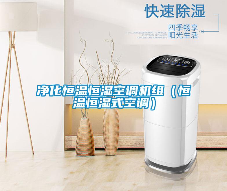 凈化恒溫恒濕空調(diào)機組（恒溫恒濕式空調(diào)）
