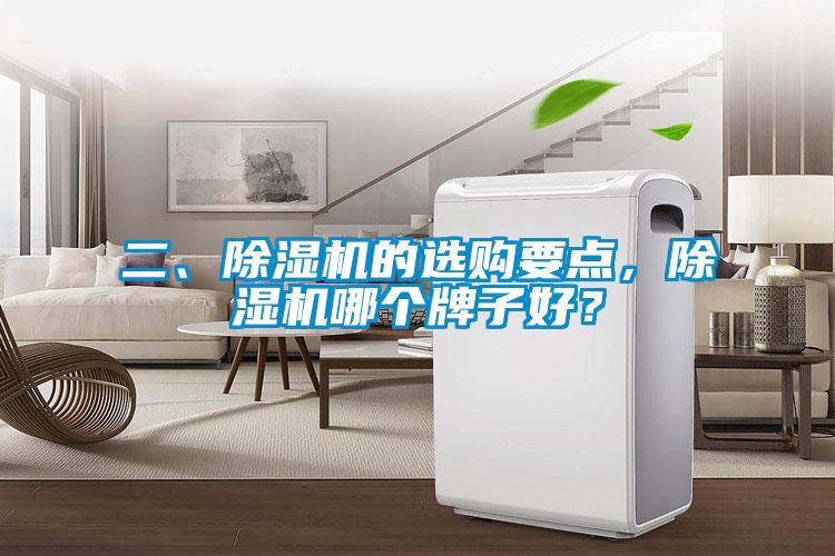 二、除濕機(jī)的選購要點(diǎn)，除濕機(jī)哪個牌子好？