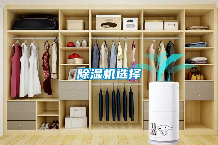 除濕機選擇
