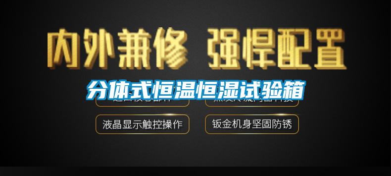 分體式恒溫恒濕試驗箱
