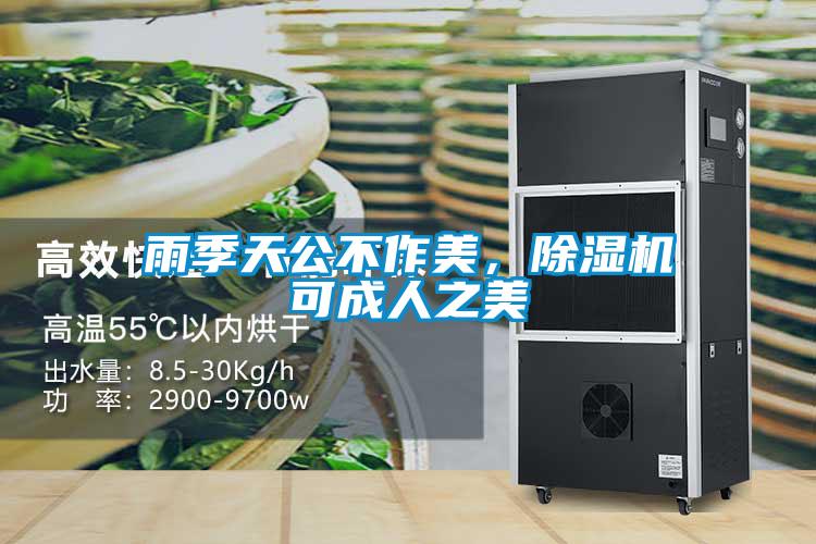 雨季天公不作美，除濕機(jī)可成人之美