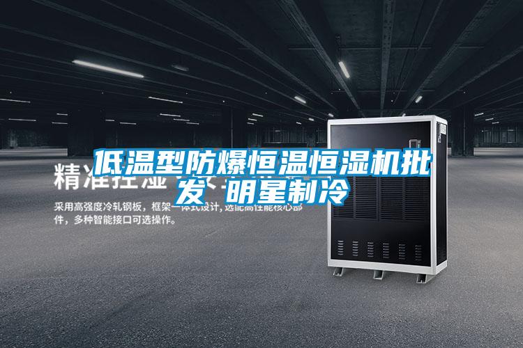 低溫型防爆恒溫恒濕機批發(fā) 明星制冷