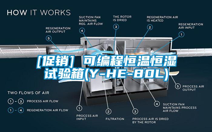 [促銷] 可編程恒溫恒濕試驗(yàn)箱(Y-HE-80L)