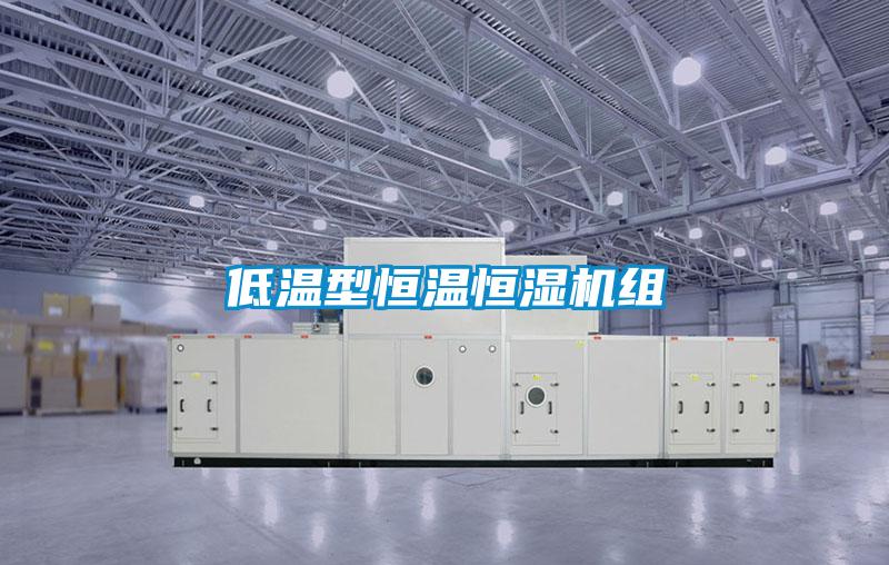 低溫型恒溫恒濕機組