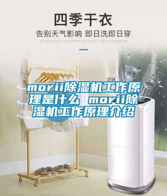 morii除濕機(jī)工作原理是什么 morii除濕機(jī)工作原理介紹