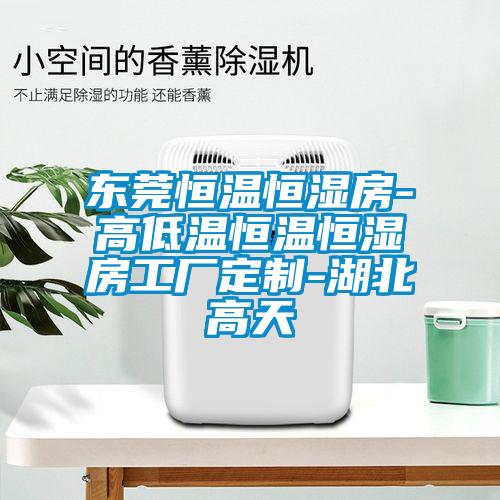 東莞恒溫恒濕房-高低溫恒溫恒濕房工廠定制-湖北高天