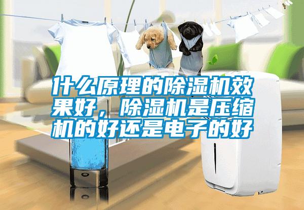 什么原理的除濕機效果好，除濕機是壓縮機的好還是電子的好