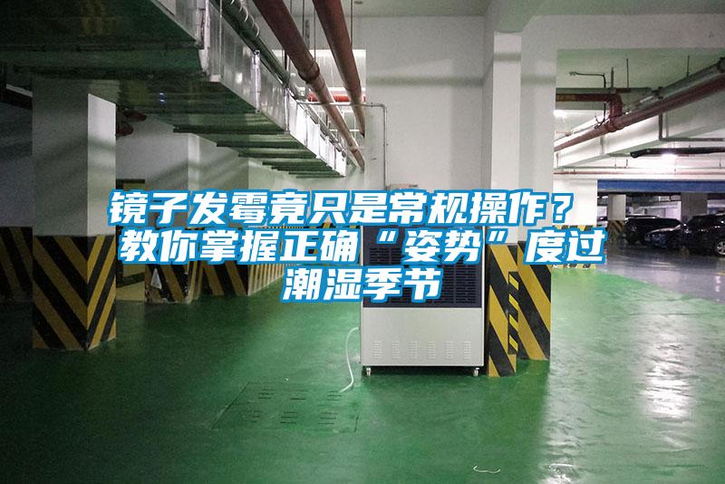 鏡子發(fā)霉竟只是常規(guī)操作？ 教你掌握正確“姿勢”度過潮濕季節(jié)