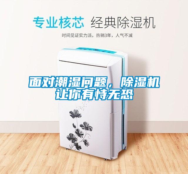 面對潮濕問題，除濕機讓你有恃無恐