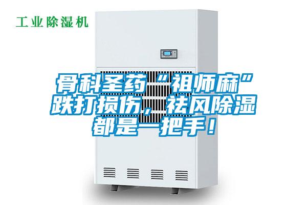 骨科圣藥“祖師麻”跌打損傷，祛風(fēng)除濕都是一把手！