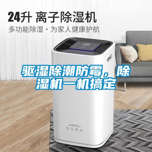 驅濕除潮防霉，除濕機一機搞定