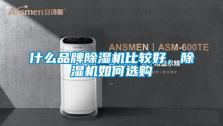 什么品牌除濕機(jī)比較好，除濕機(jī)如何選購(gòu)