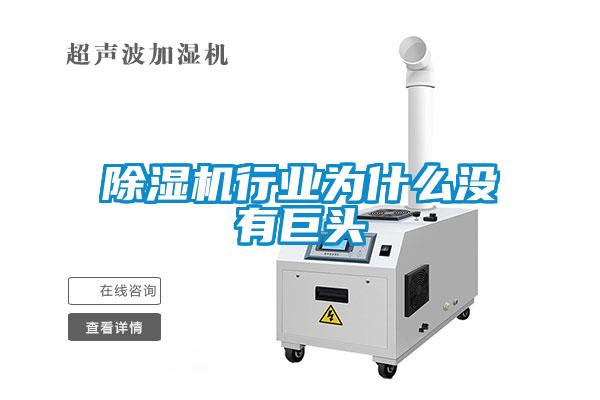 除濕機(jī)行業(yè)為什么沒(méi)有巨頭