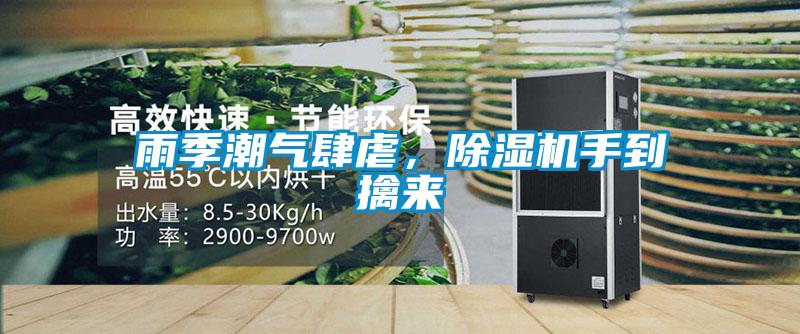 雨季潮氣肆虐，除濕機(jī)手到擒來(lái)