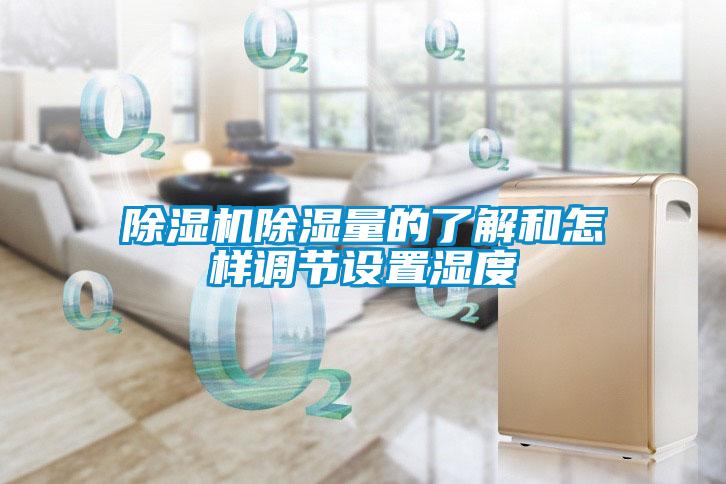 除濕機(jī)除濕量的了解和怎樣調(diào)節(jié)設(shè)置濕度