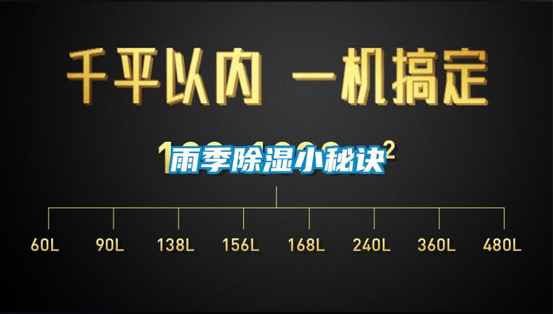 雨季除濕小秘訣