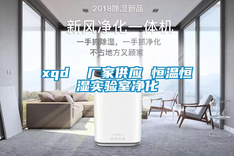xqd  廠家供應 恒溫恒濕實驗室凈化