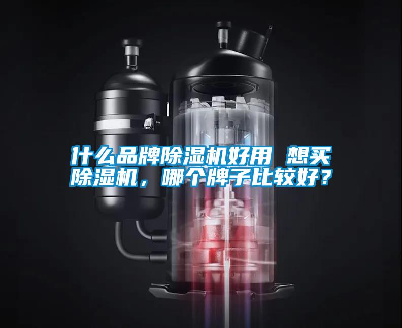什么品牌除濕機(jī)好用 想買除濕機(jī)，哪個牌子比較好？