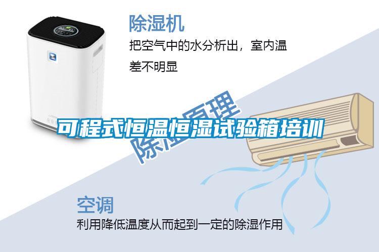 可程式恒溫恒濕試驗箱培訓