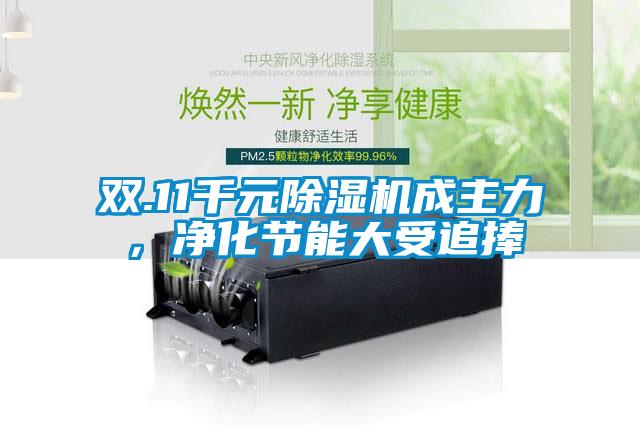雙.11千元除濕機(jī)成主力，凈化節(jié)能大受追捧