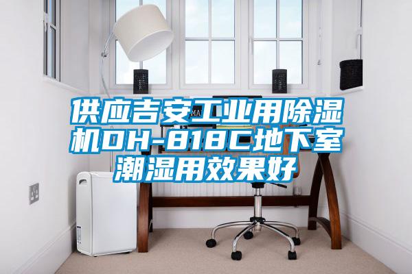 供應(yīng)吉安工業(yè)用除濕機DH-818C地下室潮濕用效果好