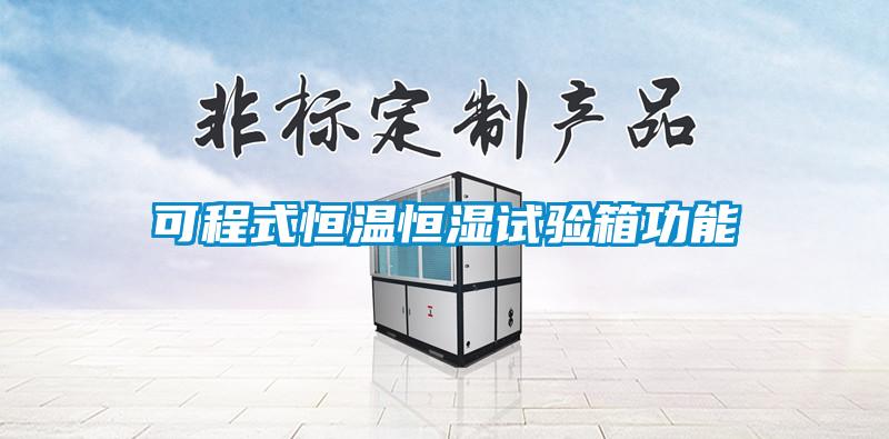 可程式恒溫恒濕試驗(yàn)箱功能