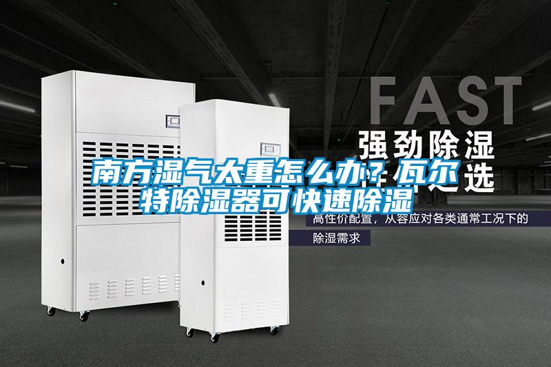 南方濕氣太重怎么辦？瓦爾特除濕器可快速除濕