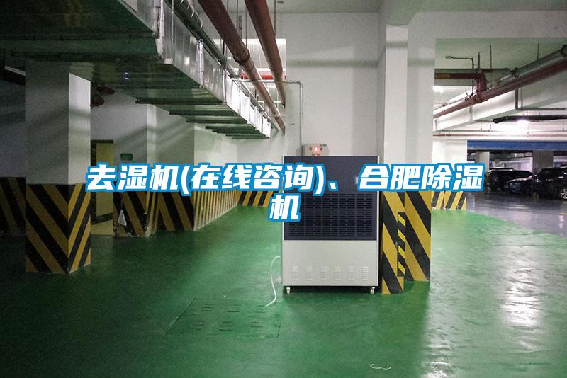 去濕機(在線咨詢)、合肥除濕機