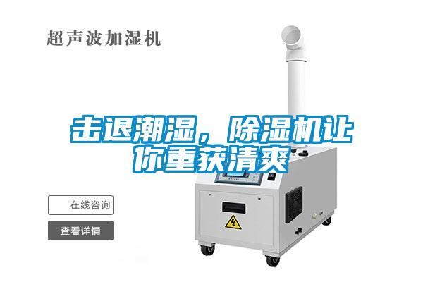 擊退潮濕，除濕機(jī)讓你重獲清爽