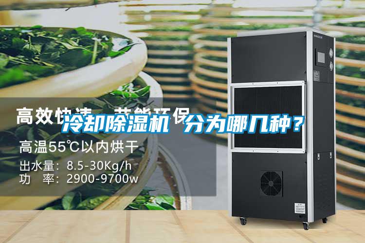 冷卻除濕機 分為哪幾種？