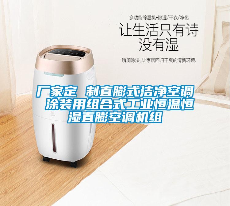 廠家定 制直膨式潔凈空調 涂裝用組合式工業(yè)恒溫恒濕直膨空調機組
