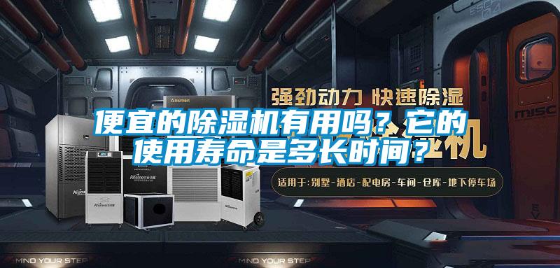 便宜的除濕機(jī)有用嗎？它的使用壽命是多長(zhǎng)時(shí)間？