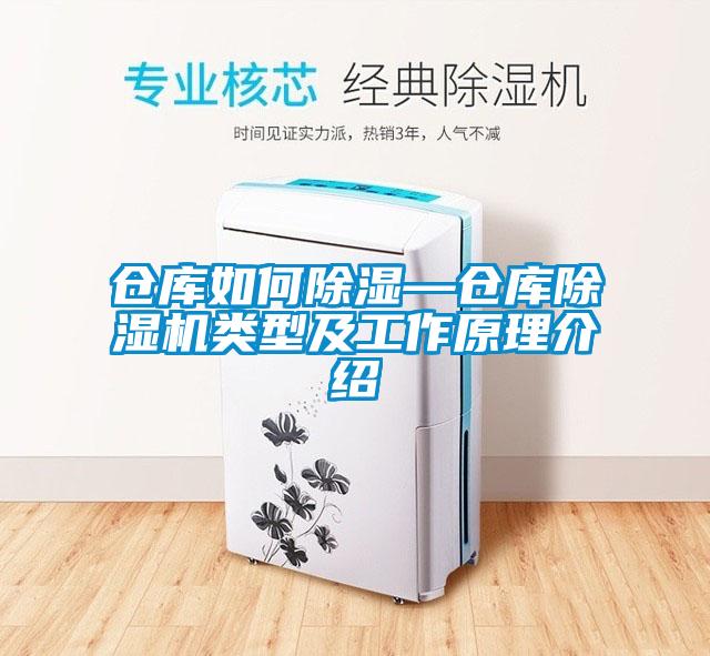 倉(cāng)庫(kù)如何除濕—倉(cāng)庫(kù)除濕機(jī)類型及工作原理介紹