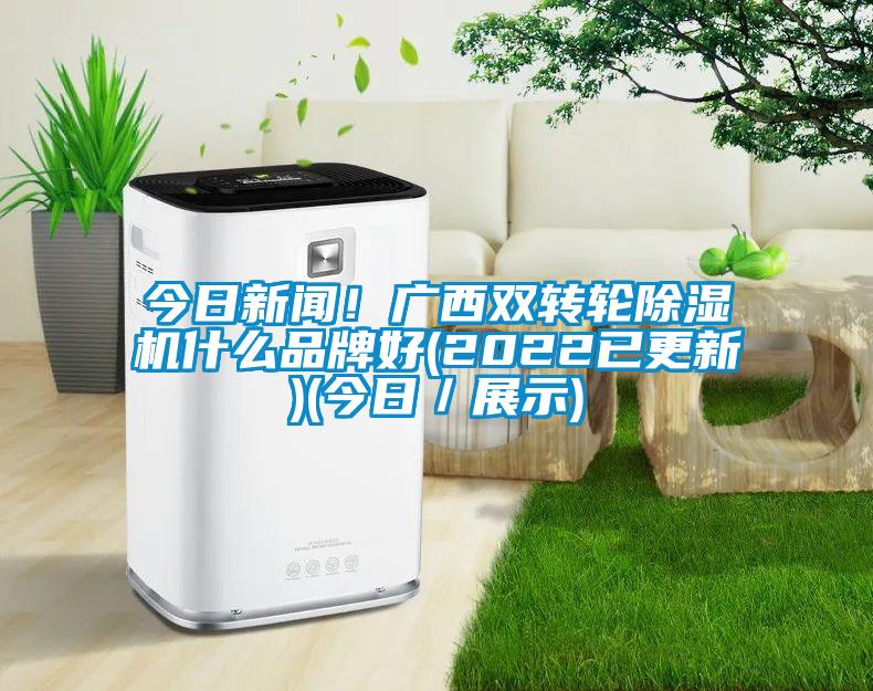 今日新聞！廣西雙轉(zhuǎn)輪除濕機(jī)什么品牌好(2022已更新)(今日／展示)