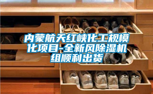 內(nèi)蒙航天紅峽化工規(guī)?；?xiàng)目-全新風(fēng)除濕機(jī)組順利出貨
