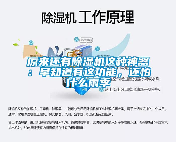 原來還有除濕機這種神器：早知道有這功能，還怕什么雨季
