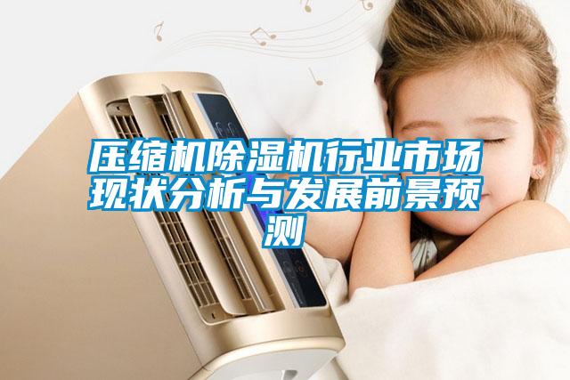 壓縮機(jī)除濕機(jī)行業(yè)市場(chǎng)現(xiàn)狀分析與發(fā)展前景預(yù)測(cè)