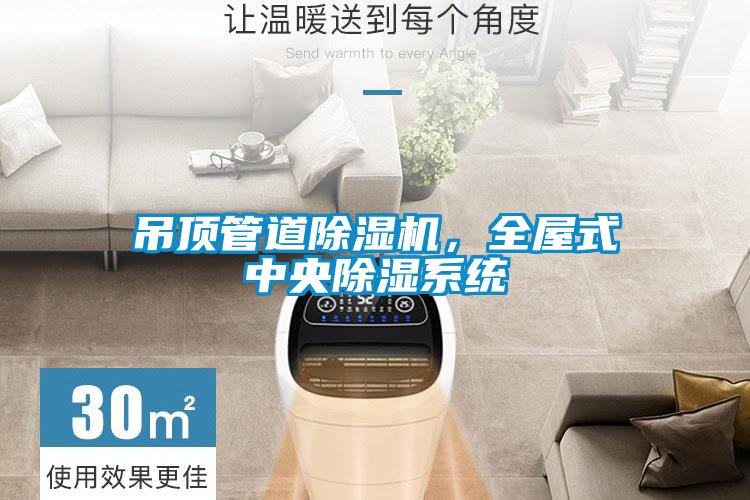 吊頂管道除濕機，全屋式中央除濕系統(tǒng)
