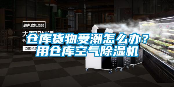 倉庫貨物受潮怎么辦？用倉庫空氣除濕機