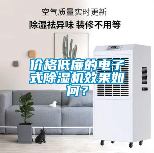 價格低廉的電子式除濕機效果如何？
