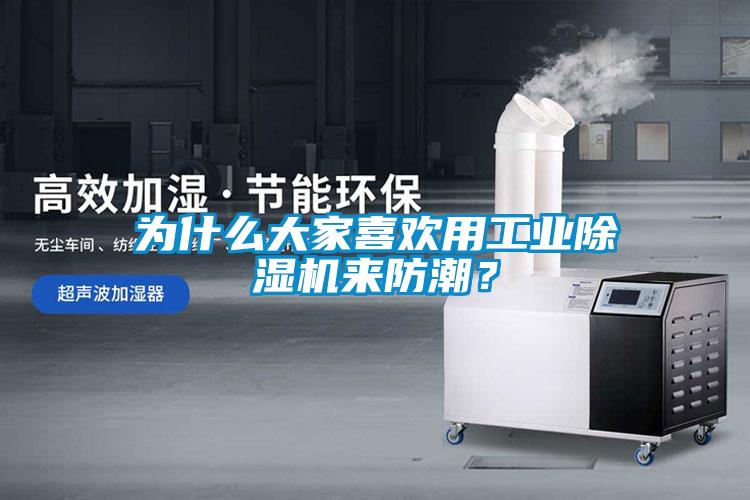為什么大家喜歡用工業(yè)除濕機來防潮？