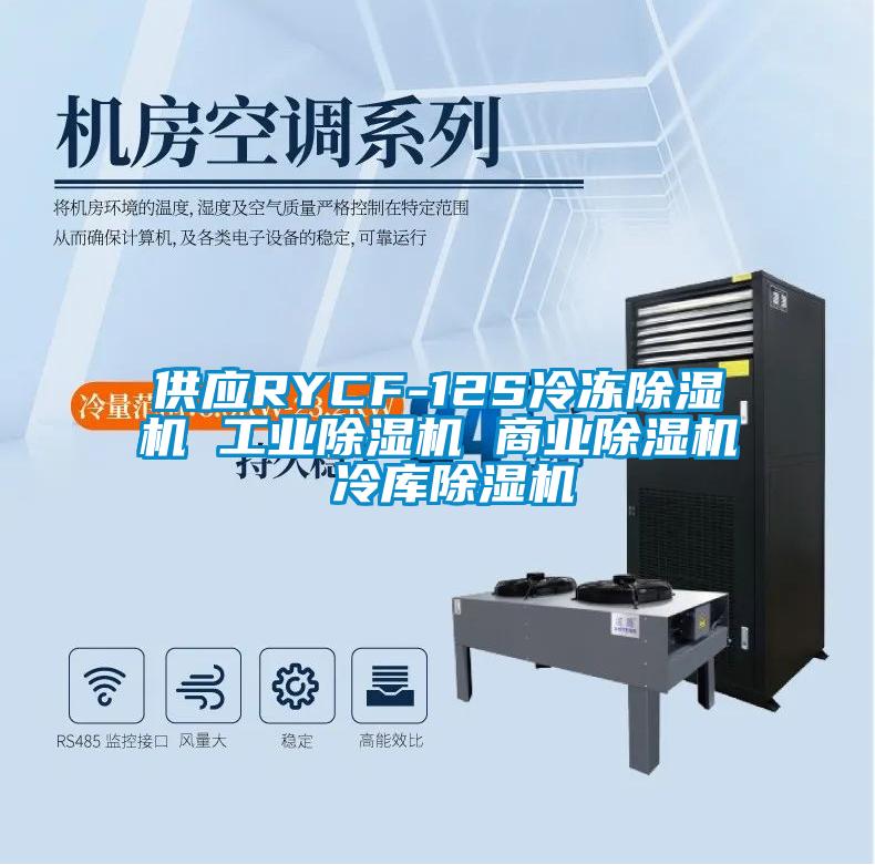 供應(yīng)RYCF-12S冷凍除濕機 工業(yè)除濕機 商業(yè)除濕機 冷庫除濕機